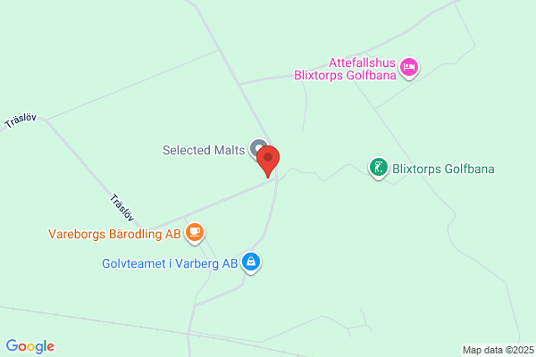 Byggtjänst i Träslöv