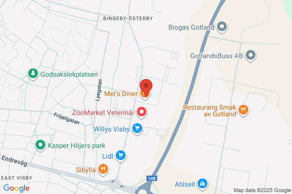 Visby Fönsterputs