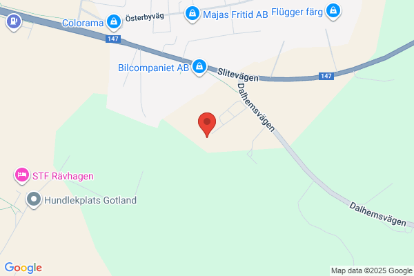 Jannes Mur & Plattsättning