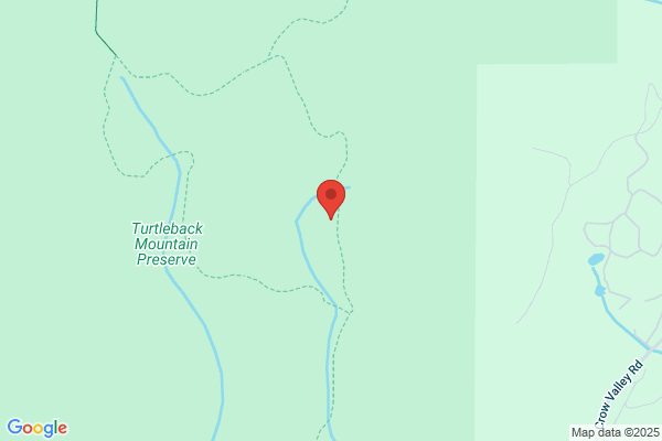 Turtleback