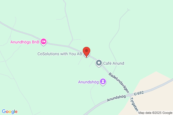 CoSolutions with You AB