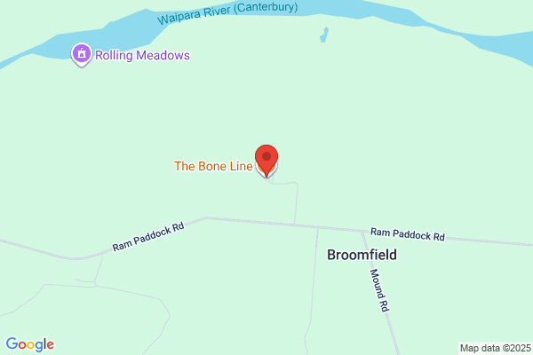 Boneline