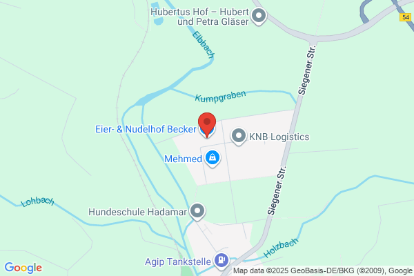 Jungelteknik