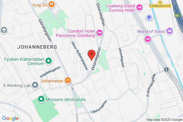 Domino's Pizza Johanneberg