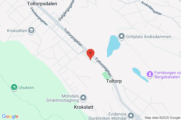 Toltorps Redovisningstjänst