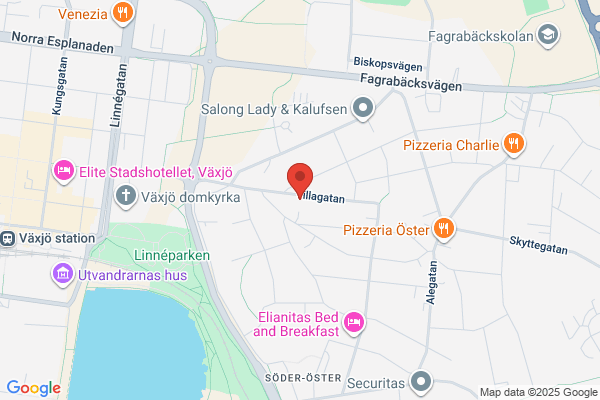 Larsson Agentur, Janne