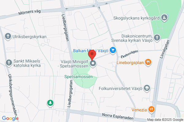 Ringsbergskiosken Gatukök & Pizzeria
