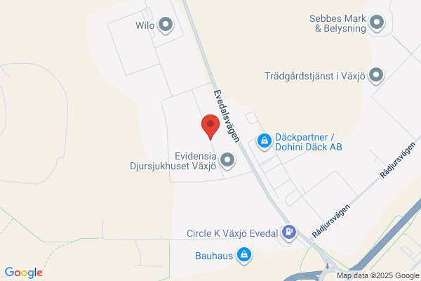Dovhjorten