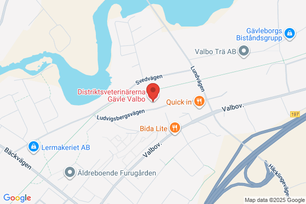Distriktsveterinärerna Gävle