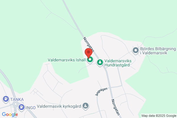 Valdemarsvik Idrottsföreningen