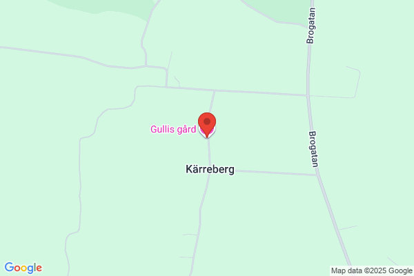 Gullis Fotvård