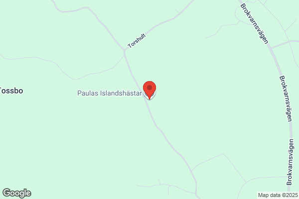 Pias Häst & Ryttarservice