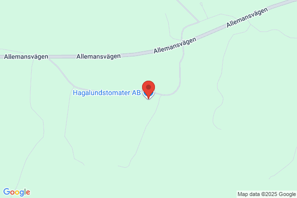 Hagalundstomater