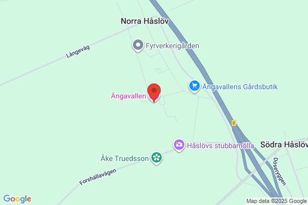 Företagscoachen