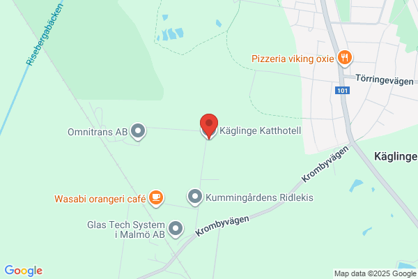 Katthotellet Äntligen