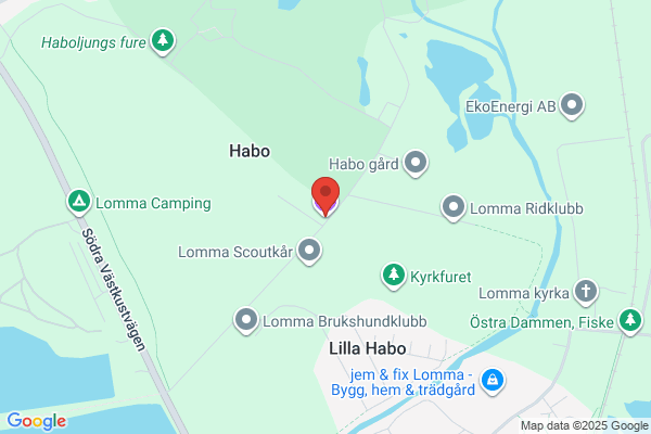 Konserveringsateljé Pia Lendemar