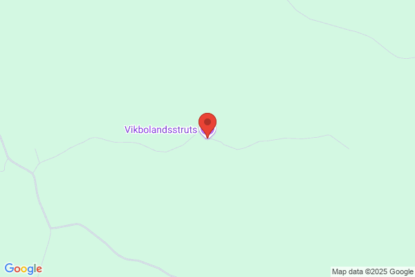 Vikbolandsstruts