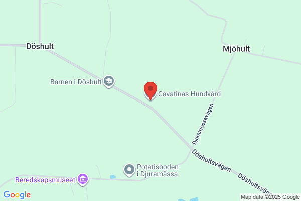 Cavatinas Hundvård