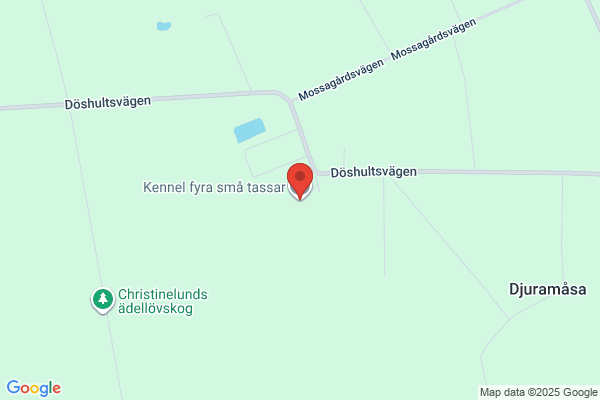 Fyra Små Tassar