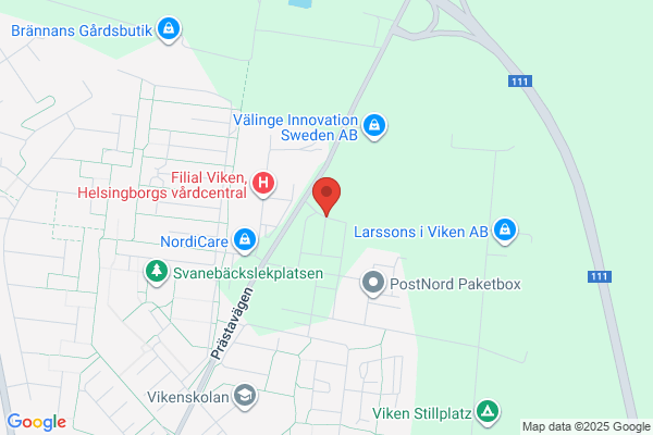Skånerevisorn