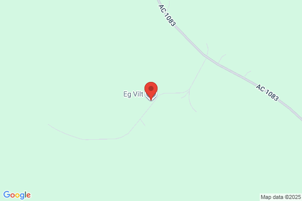 Egger-översättningar och guiding