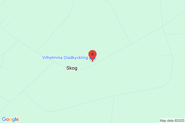 Glada Fötter i Vilhelmina