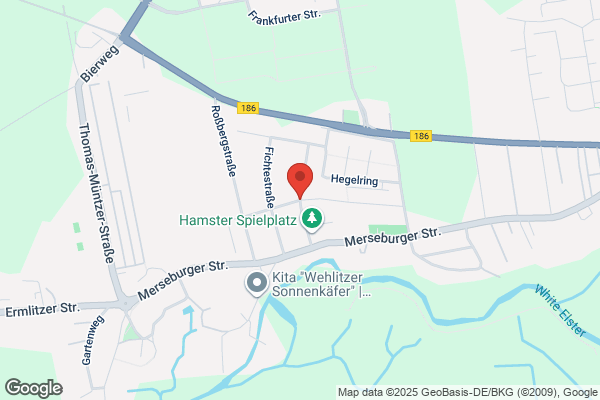 Carlström Trävaru AB, Bröderna
