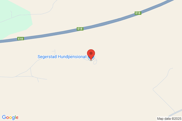 Aktivera Din Hund
