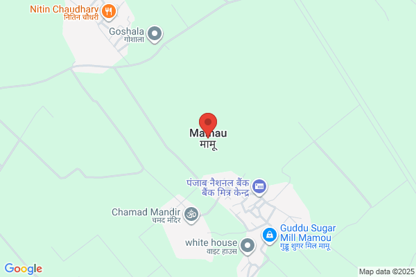 Mamumu
