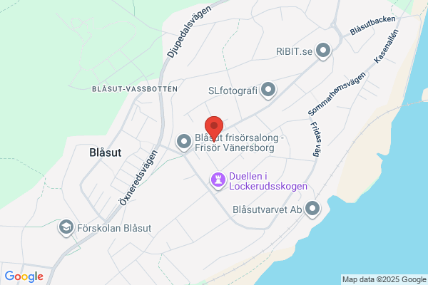 Blåsut skola (Grundskolor)