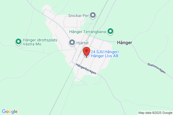 Hodzics Livs