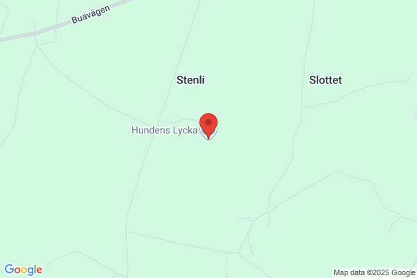 Hundens Lycka
