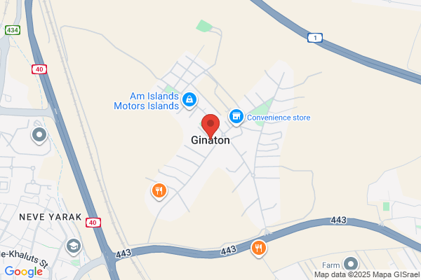 Geniton