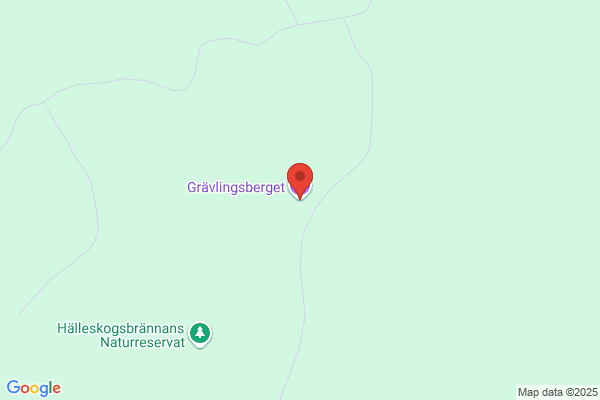 Sala Skogstjänst AB