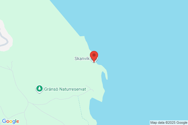 Sköna Fötter