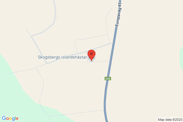 Skogsbergs Islandshästar