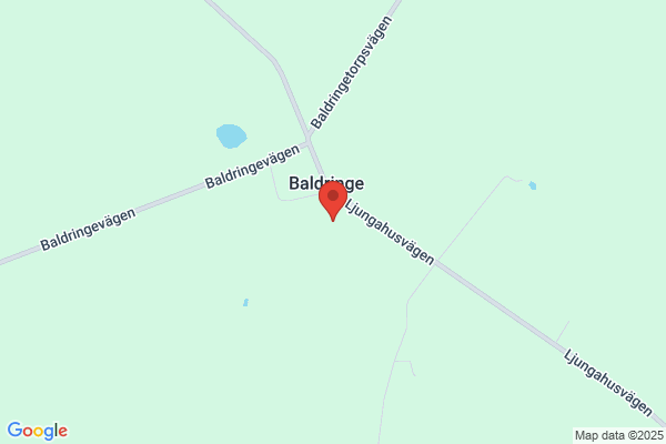 Baldringe Fågel AB