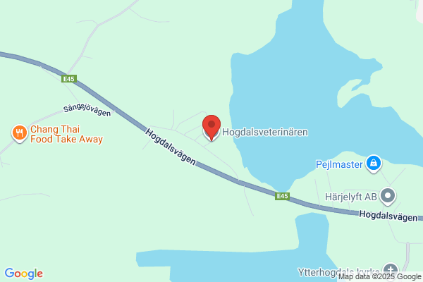 Taxi Hogdal