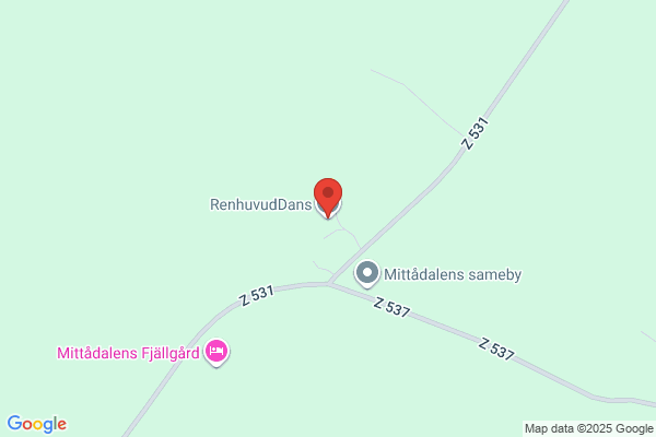 RenhuvudDans